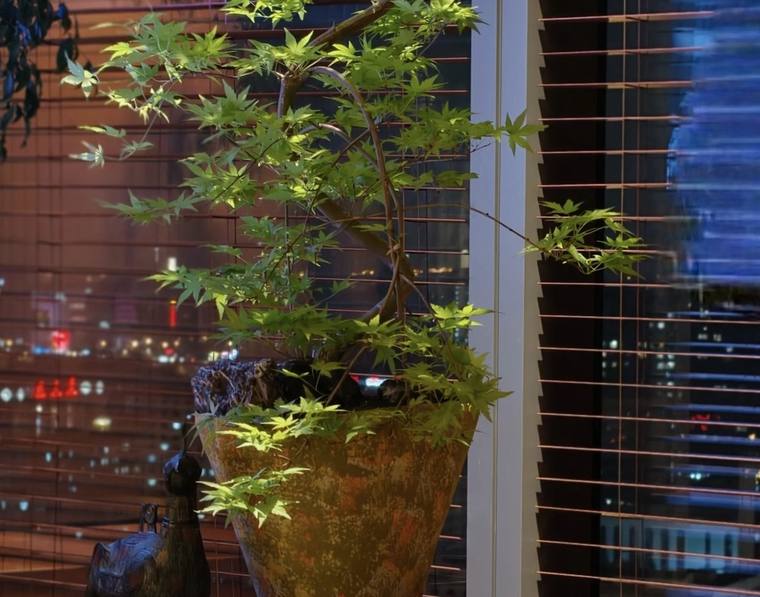 潘世奖|高级的软装搭配,从来都是润物无声