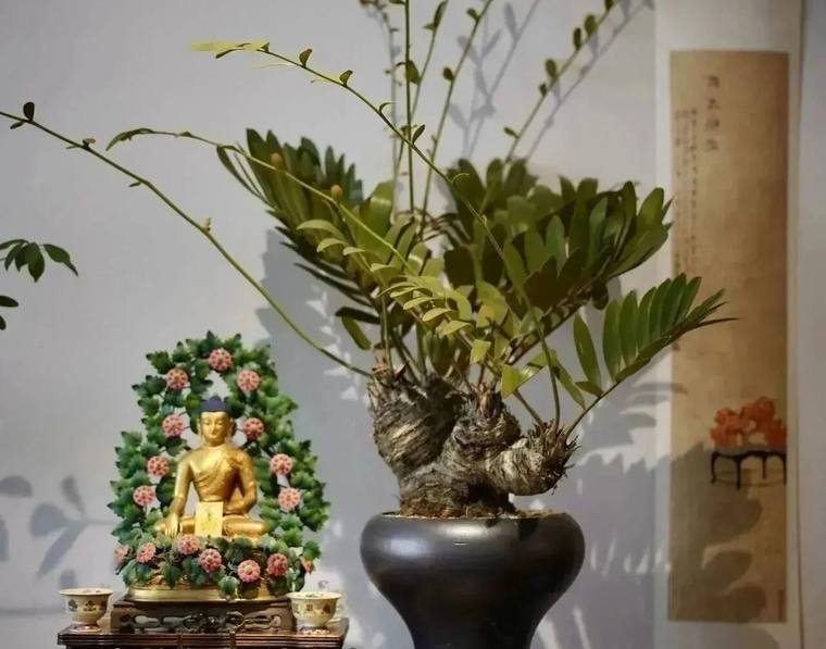 结庐在人境,寻觅一方安置精神的桃源
