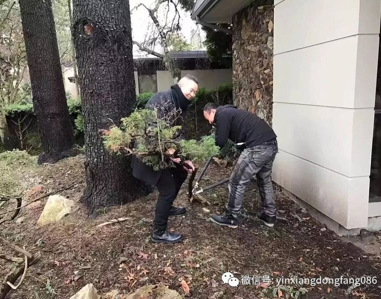 全球刮起中国风