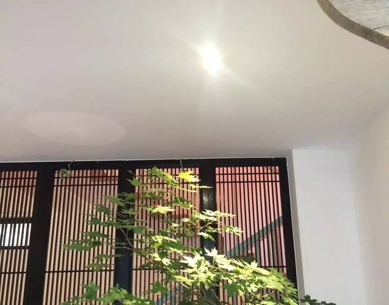 喧嚣都市中,何处觅宁静